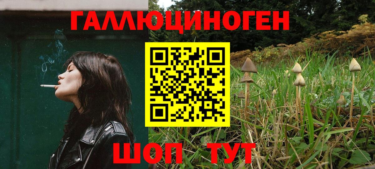 Псилоцибиновые грибы Psilocybe Ишимбай